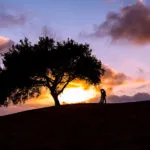 Sunset at Los Verdes