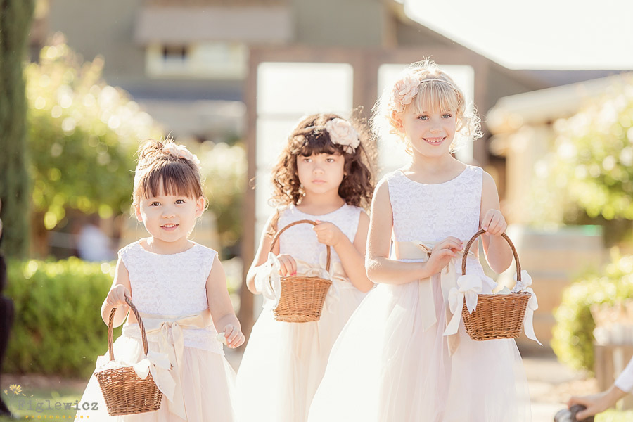 Ponte Family Estate Winery Wedding | Katie + Bryan | Part 1 - Figlewicz ...