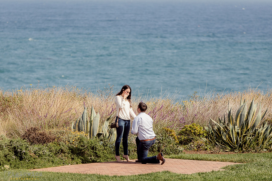 Terranea-Resort-Proposal-Rachel-Greg-00002