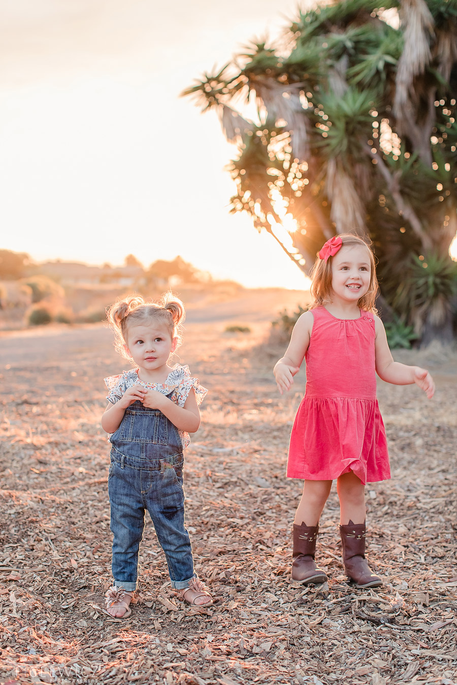 Lunada Bay Family Portraits