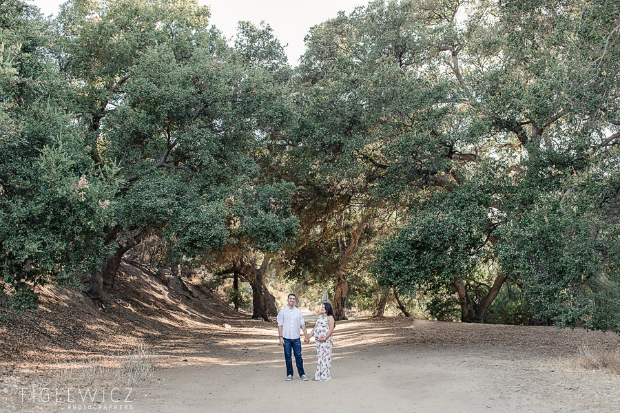 Simi Valley Maternity Portraits