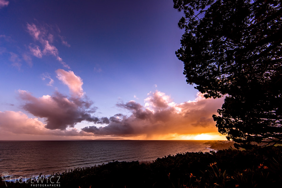 Glass Church Wedding Palos Verdes