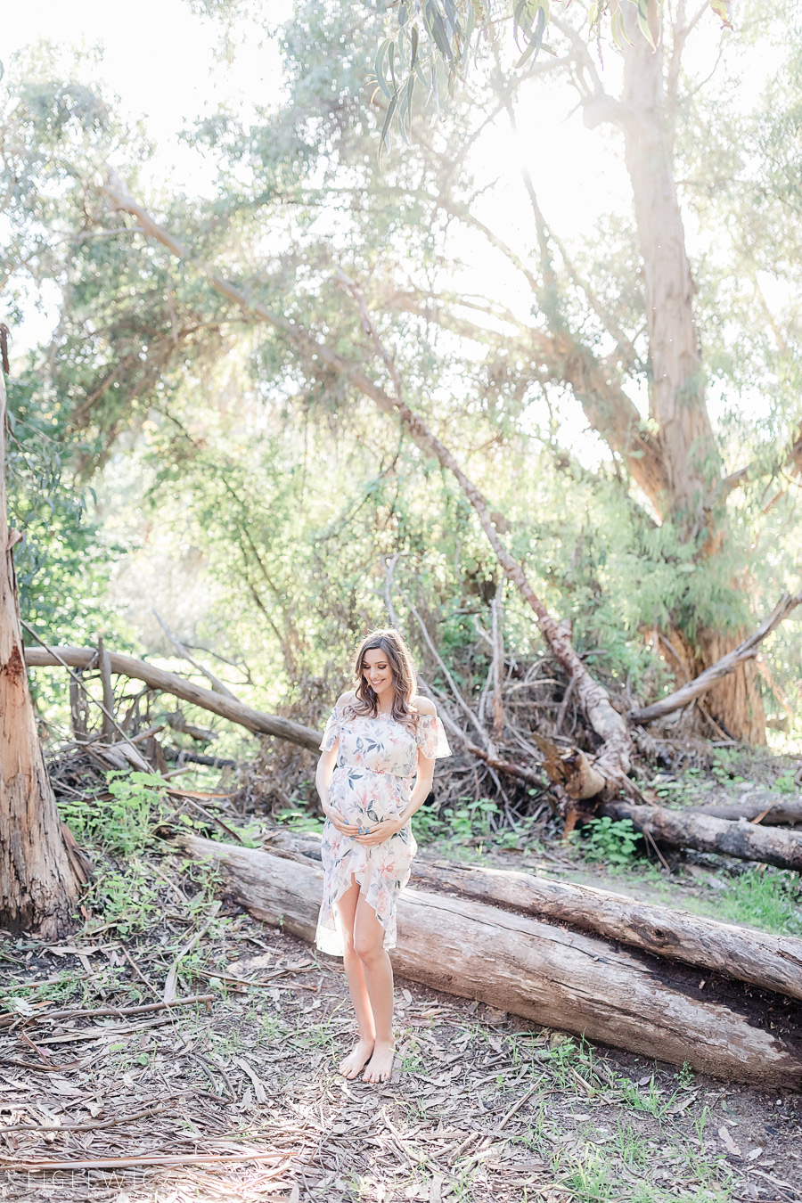 Palos Verdes Maternity Portraits