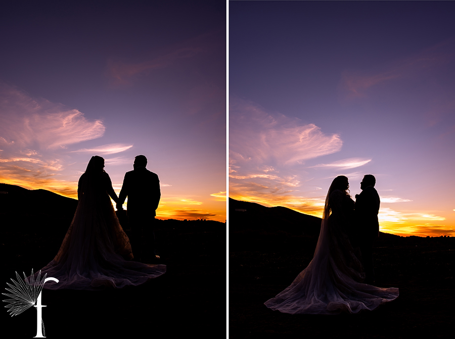 Maravilla Gardens Wedding | Emily & Joe