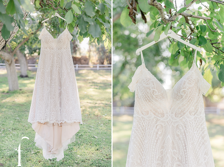 Walnut Grove Wedding | Theresa & Brian 