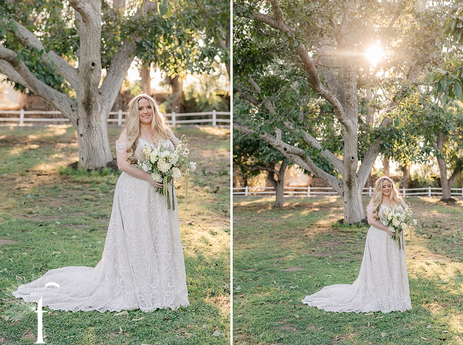 Walnut Grove Wedding | Theresa & Brian 