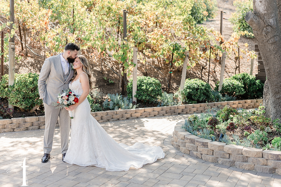 Casi Cielo Vineyards Wedding | Brittney & Christopher 