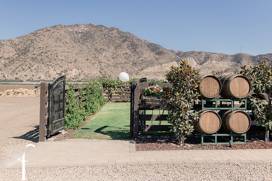 Casi Cielo Vineyards Wedding | Brittney & Christopher 