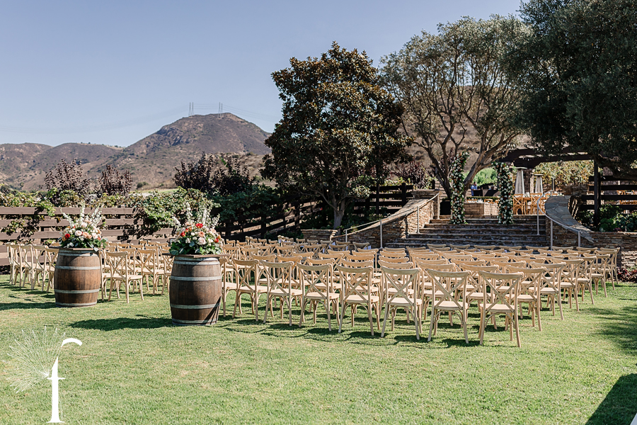 Casi Cielo Vineyards Wedding | Brittney & Christopher 