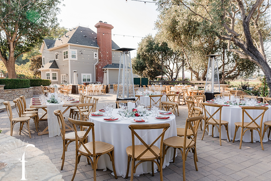 Casi Cielo Vineyards Wedding | Brittney & Christopher 
