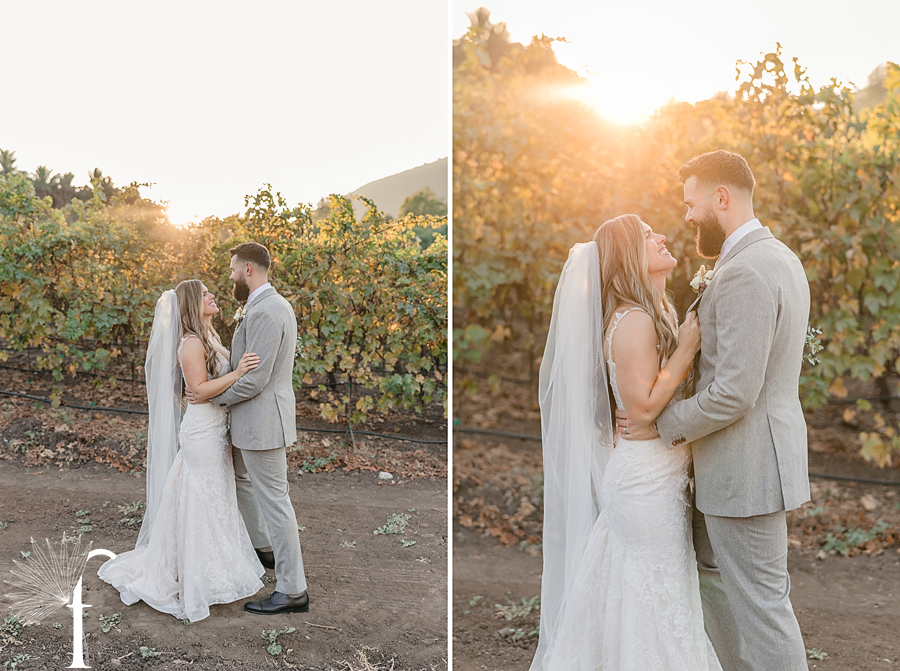 Casi Cielo Vineyards Wedding | Brittney & Christopher 