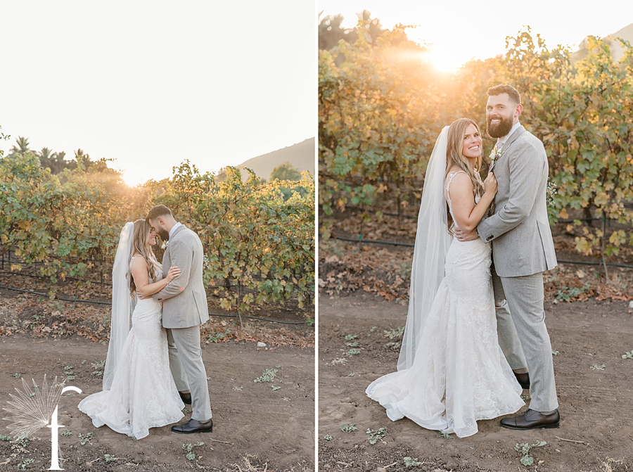 Casi Cielo Vineyards Wedding | Brittney & Christopher 