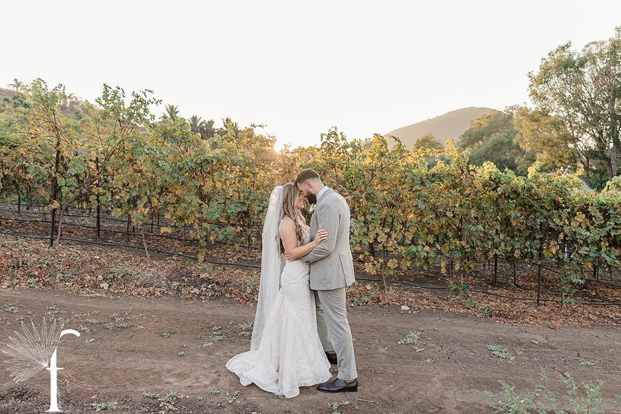 Casi Cielo Vineyards Wedding | Brittney & Christopher 