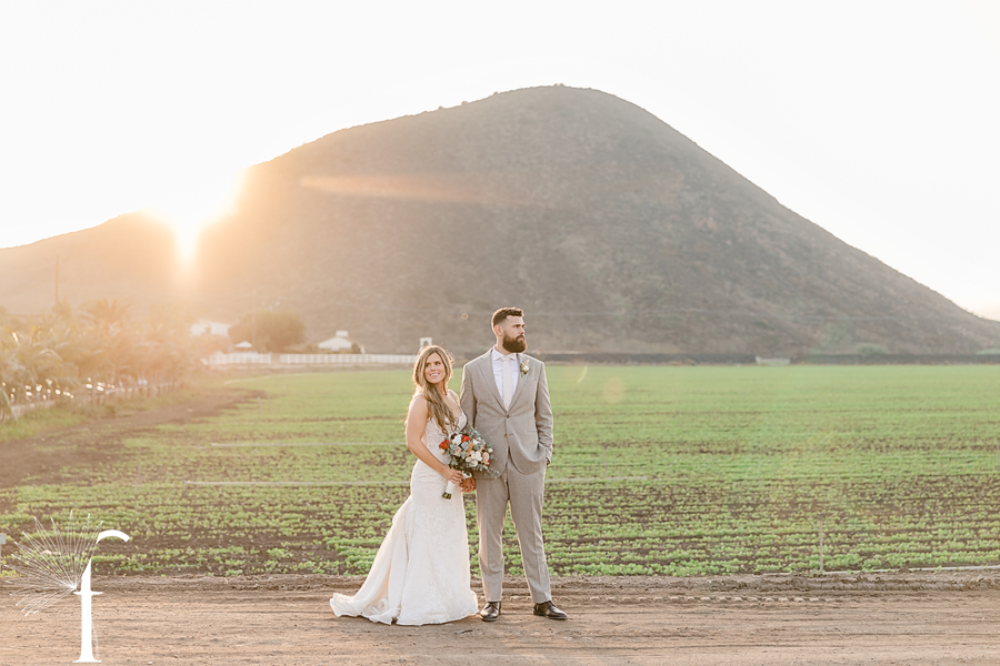 Casi Cielo Vineyards Wedding | Brittney & Christopher 