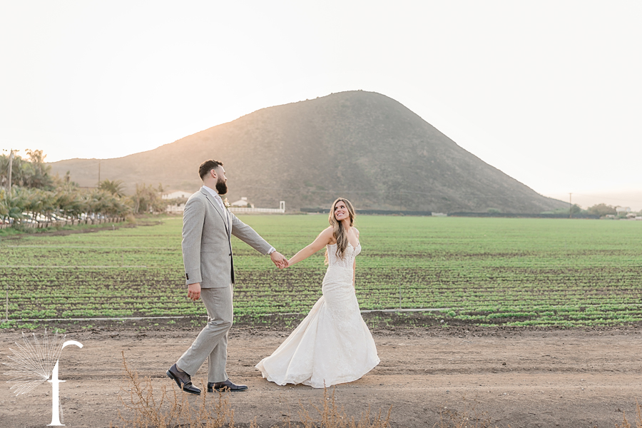 Casi Cielo Vineyards Wedding | Brittney & Christopher 