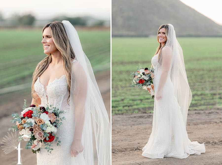 Casi Cielo Vineyards Wedding | Brittney & Christopher 