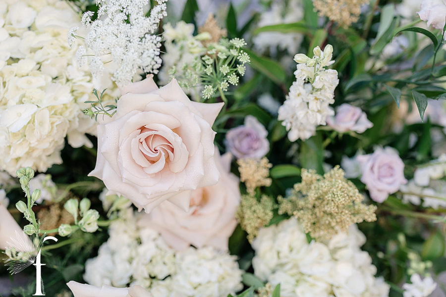 The Ebell of Los Angeles | Mahsa & Sal
