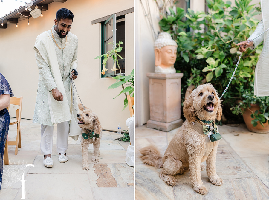 Vibrant Backyard Celebration | Lakshmi & Tom