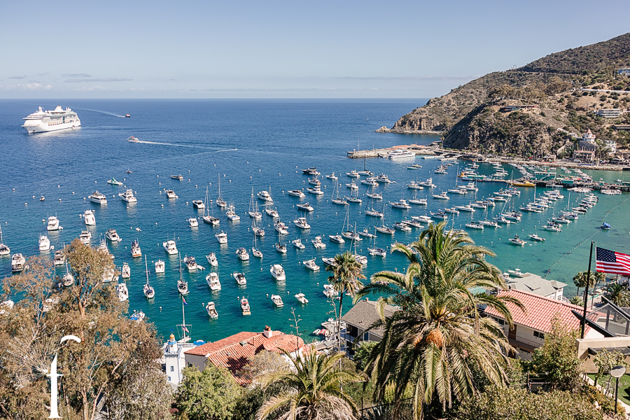 Descanso Beach Club, Catalina Island | Nicole & Jonah