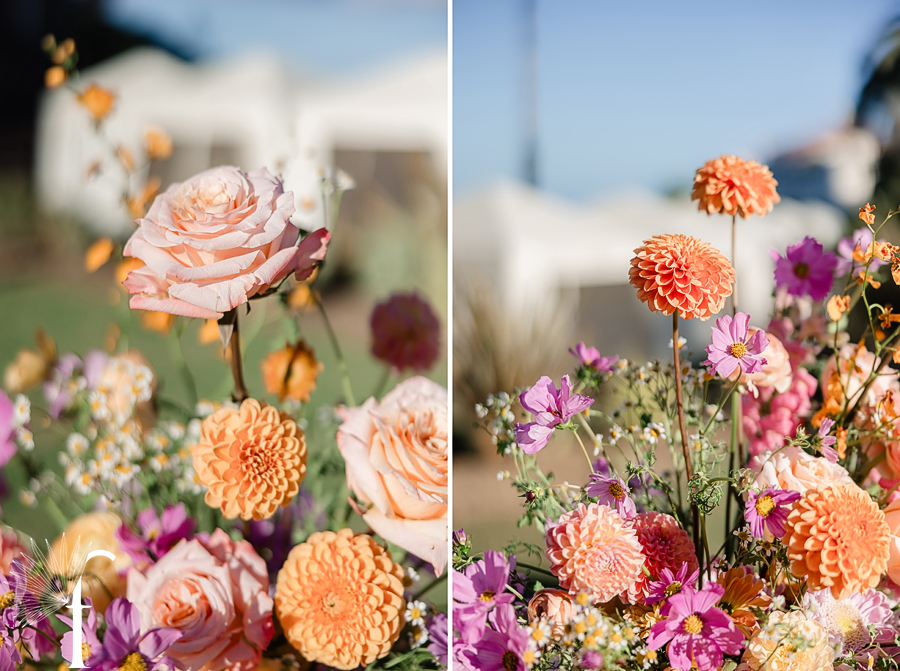 Descanso Beach Club, Catalina Island | Nicole & Jonah