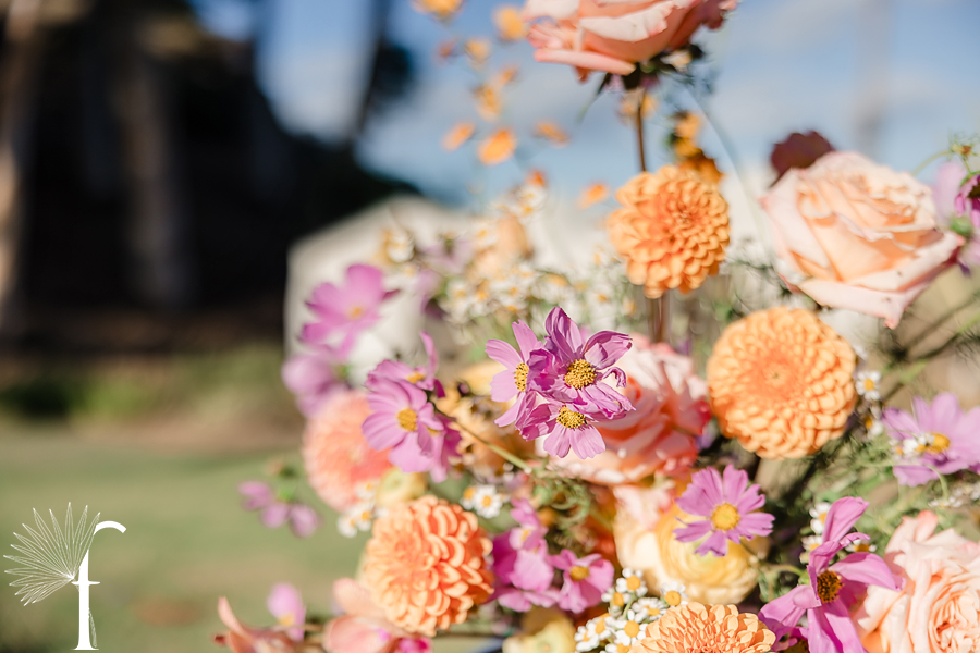 Descanso Beach Club, Catalina Island | Nicole & Jonah