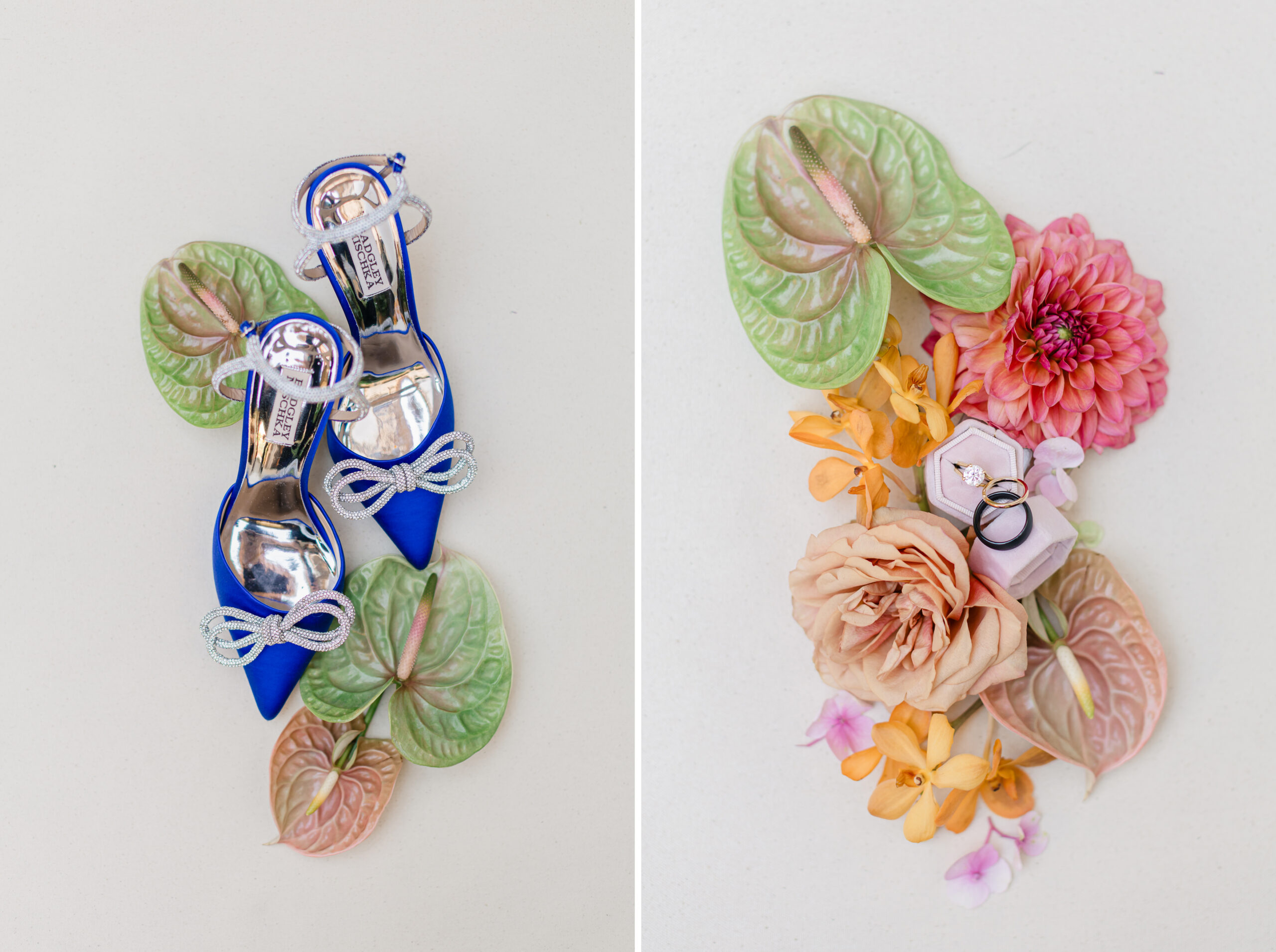 Vibrant Backyard Celebration | Lakshmi & Tom