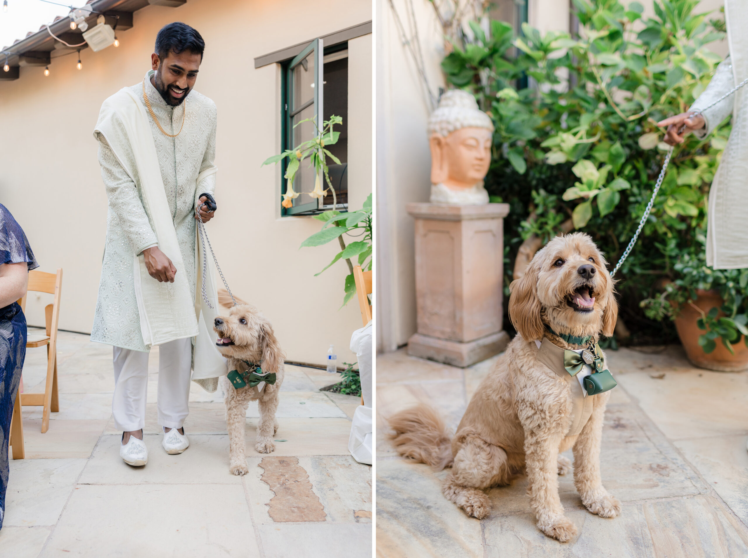 Vibrant Backyard Celebration | Lakshmi & Tom