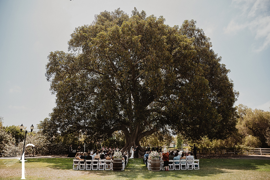 Camrillo Ranch Wedding | Makayla & Tristan