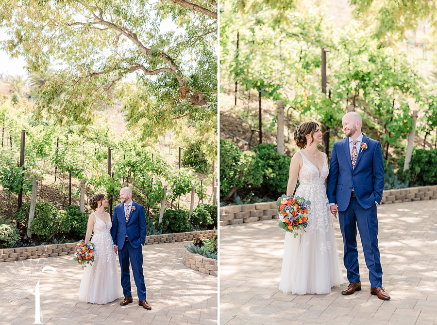 Casi Cielo Vineyards | Jennifer & Story