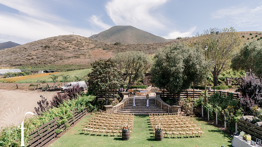 Casi Cielo Vineyards | Jennifer & Story