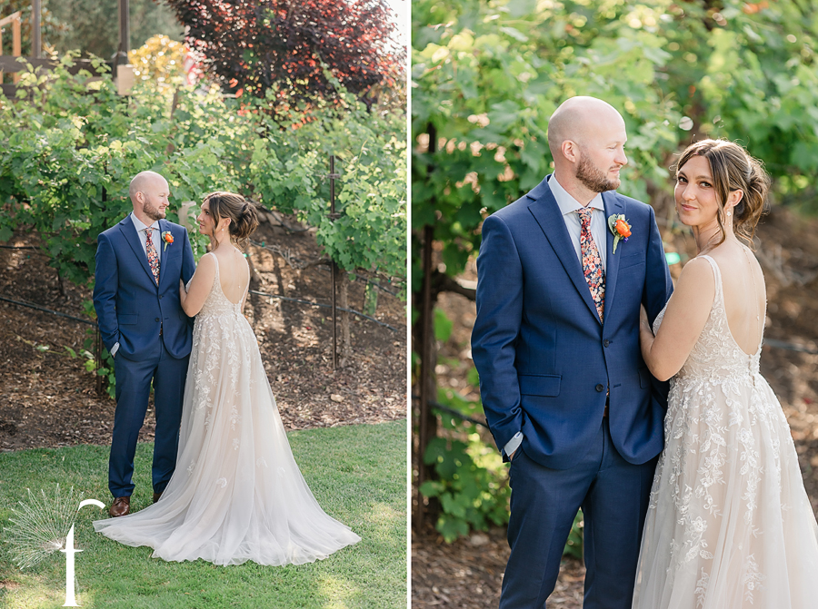 Casi Cielo Vineyards | Jennifer & Story