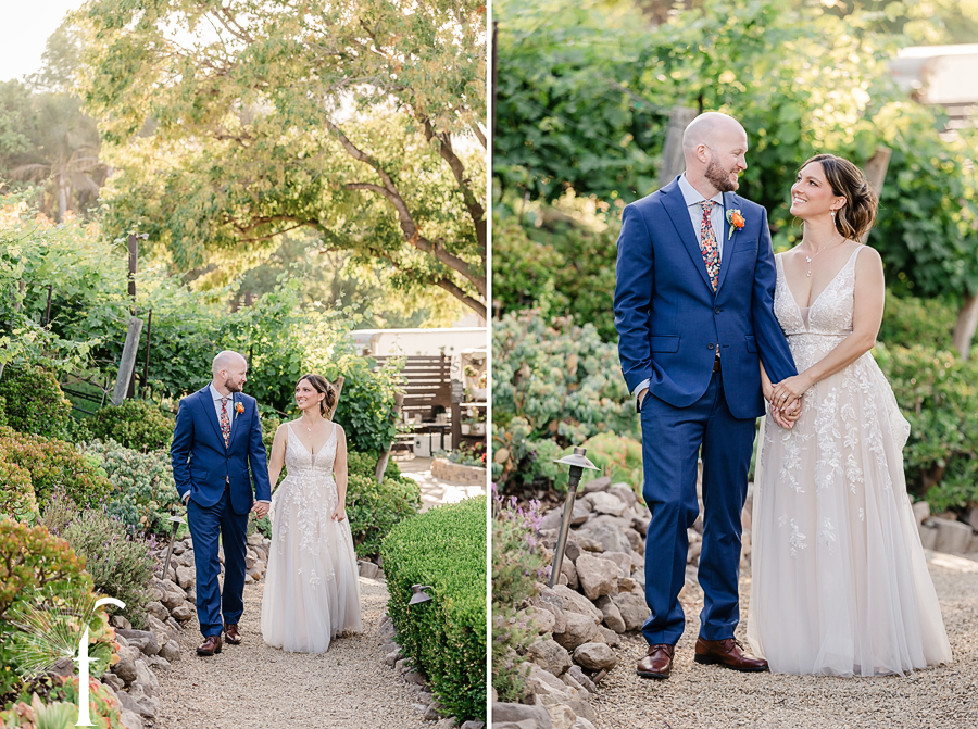 Casi Cielo Vineyards | Jennifer & Story