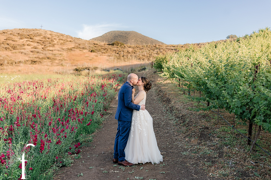 Casi Cielo Vineyards | Jennifer & Story