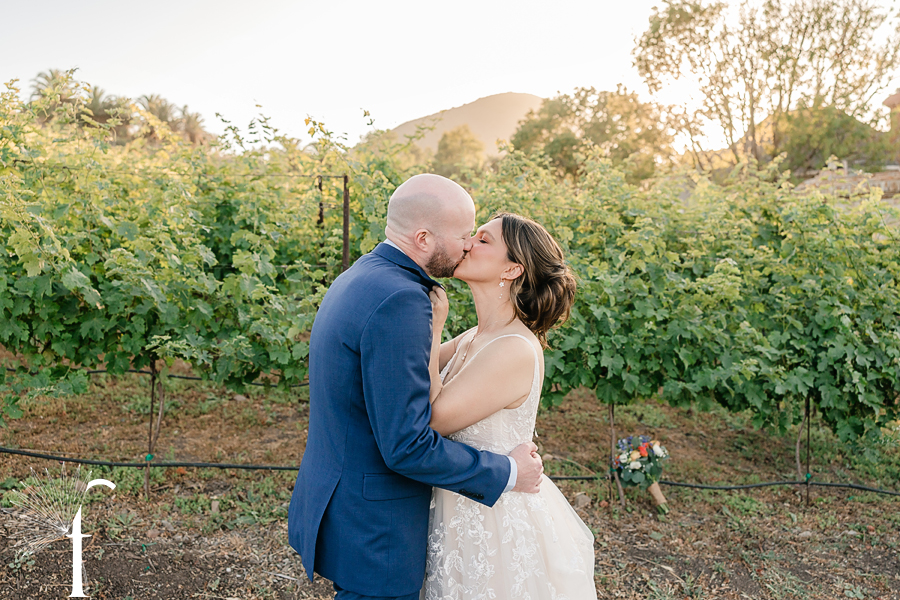 Casi Cielo Vineyards | Jennifer & Story