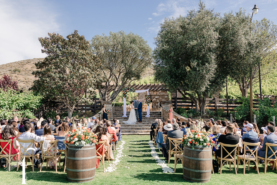Casi Cielo Vineyards | Jennifer & Story