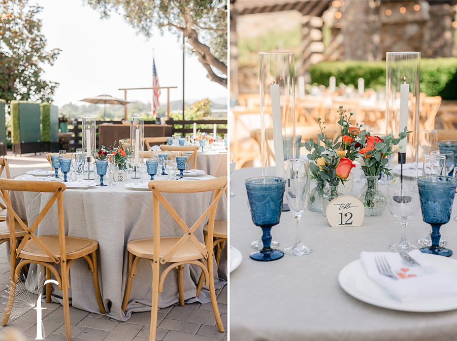 Casi Cielo Vineyards | Jennifer & Story