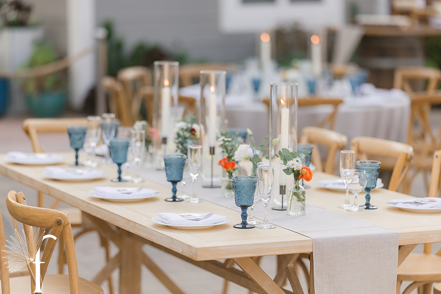 Casi Cielo Vineyards | Jennifer & Story