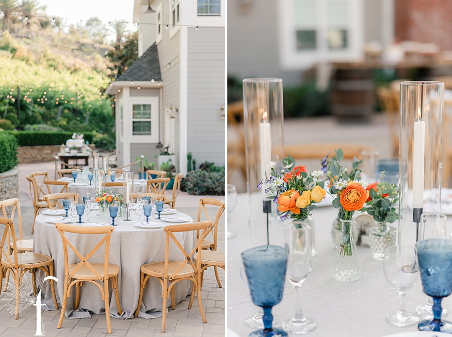 Casi Cielo Vineyards | Jennifer & Story