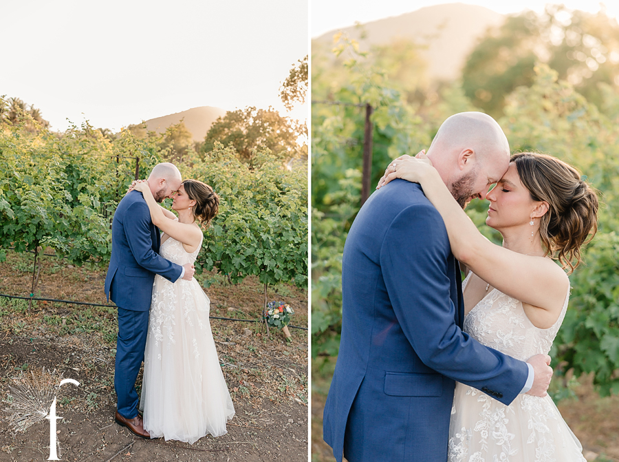 Casi Cielo Vineyards | Jennifer & Story