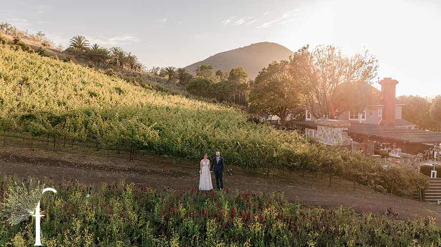 Casi Cielo Vineyards | Jennifer & Story