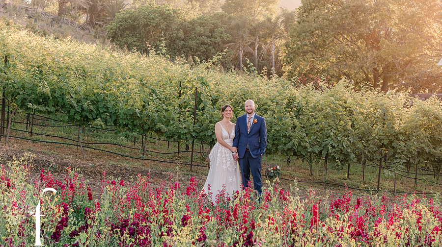 Casi Cielo Vineyards | Jennifer & Story