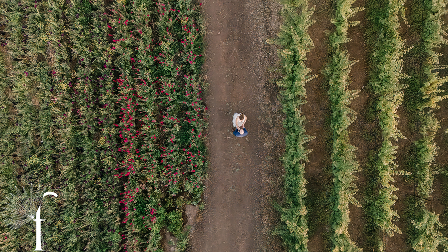 Casi Cielo Vineyards | Jennifer & Story