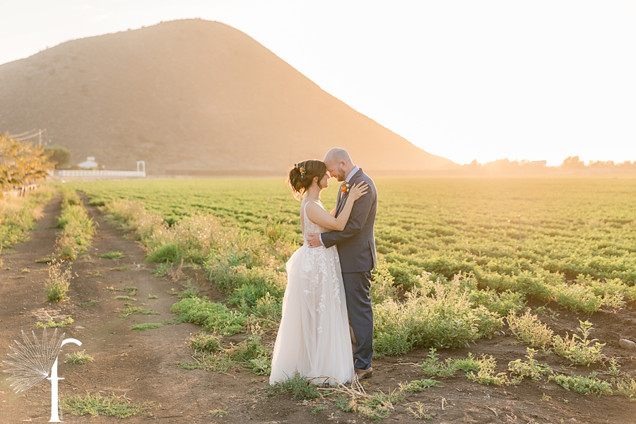 Casi Cielo Vineyards | Jennifer & Story
