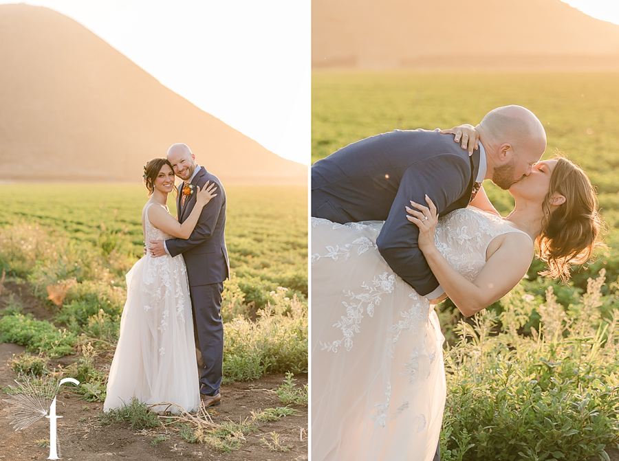 Casi Cielo Vineyards | Jennifer & Story