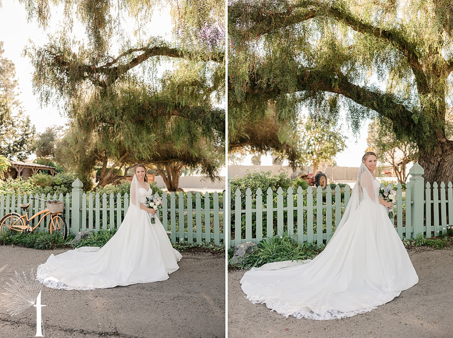 Marvilla Gardens | Sarah & Robert