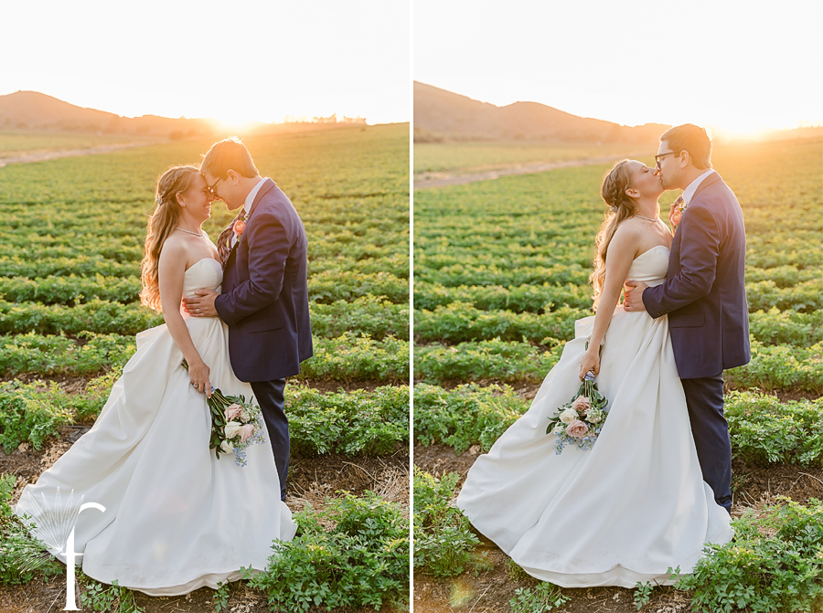 Marvilla Gardens | Sarah & Robert