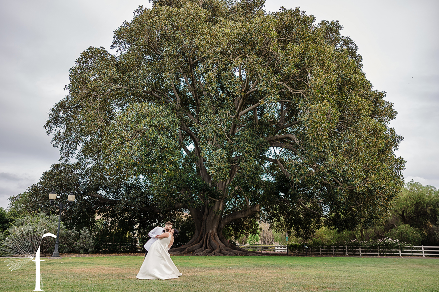 Camarillo Ranch Wedding | Courtney & Derek