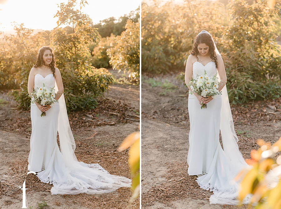 Gerry Ranch Wedding | Mary & Jacob