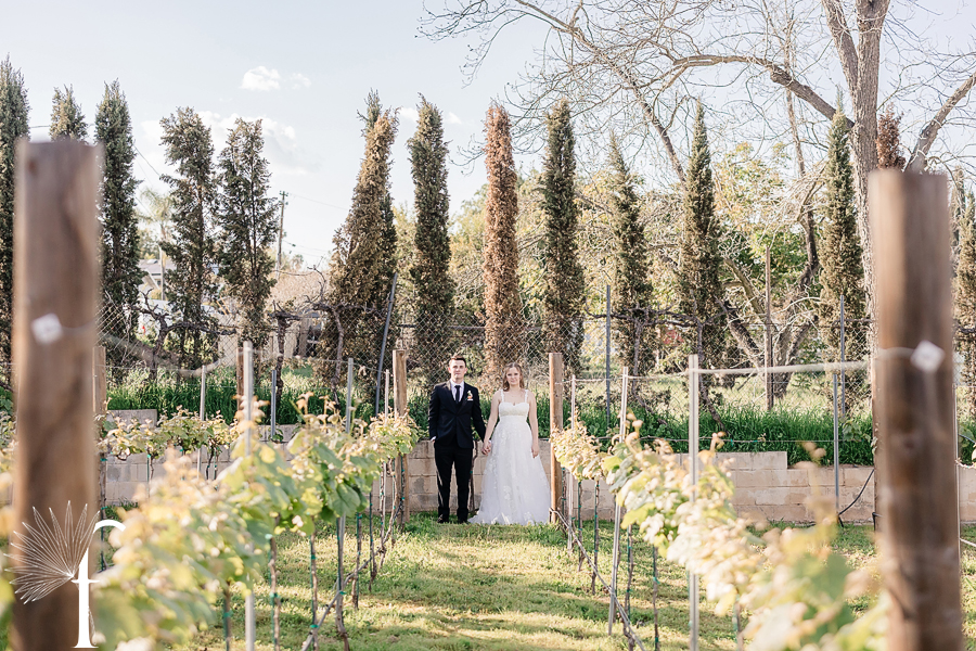 Forgotten Barrel Winery Wedding | Shelby & Jacob 