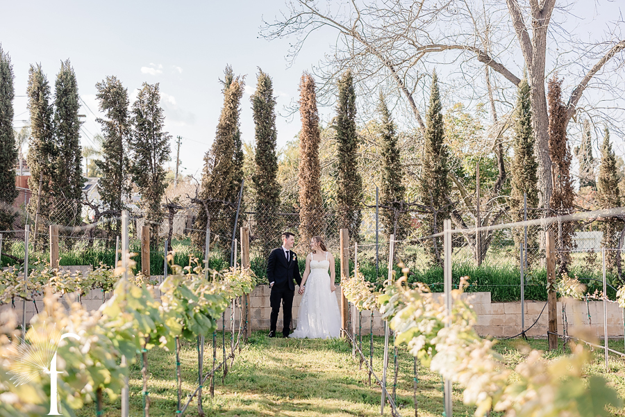 Forgotten Barrel Winery Wedding | Shelby & Jacob 